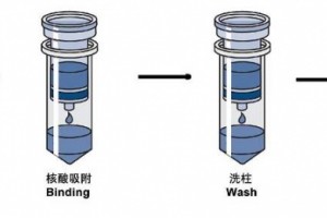 DNA提取试剂盒有哪些品种各品种产品的优缺点又是什么