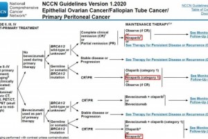 尼拉帕利敞开卵巢癌一线保持医治全人群年代