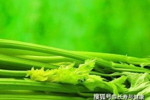 这三种菜根的摄生成效极好适用于伤风感冒皮肤生疮痰多咳嗽